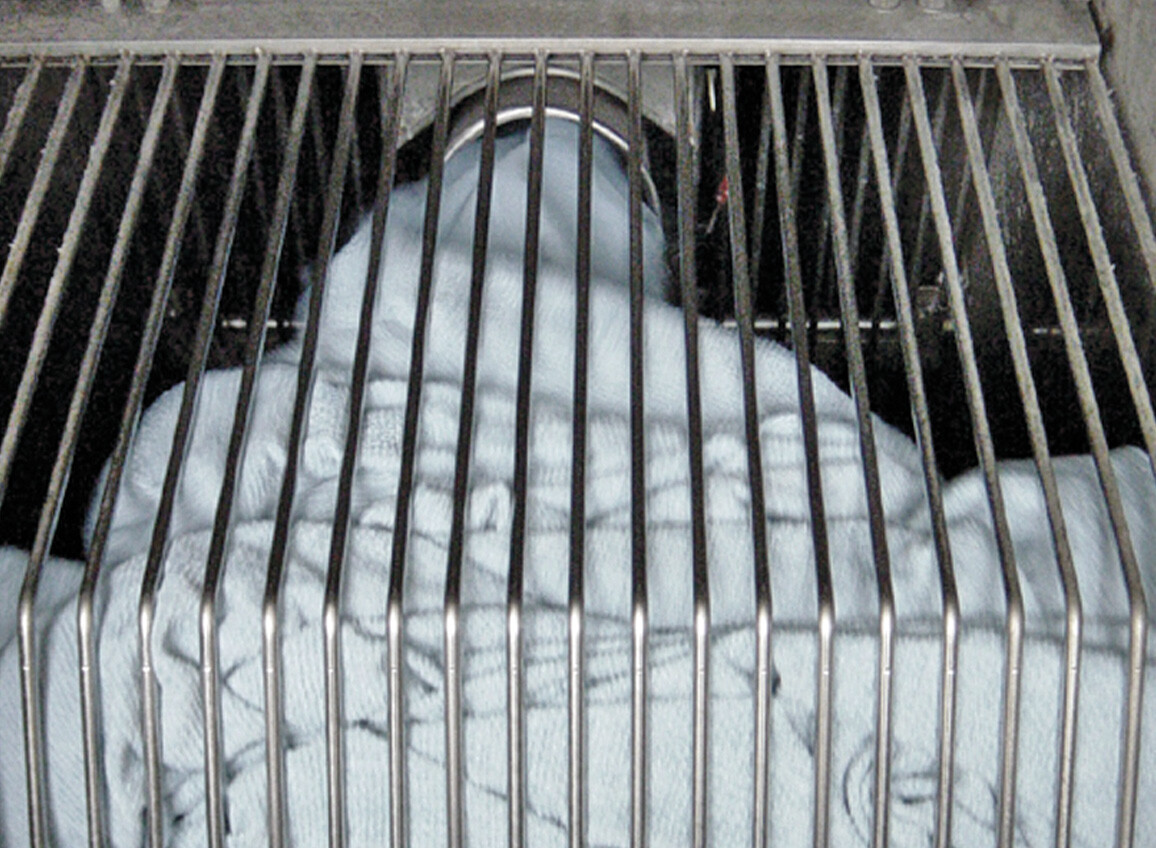 grill air system textile washing AIRO Biancalani